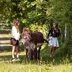 Farm stay Bio-bauernhof Reiterhof