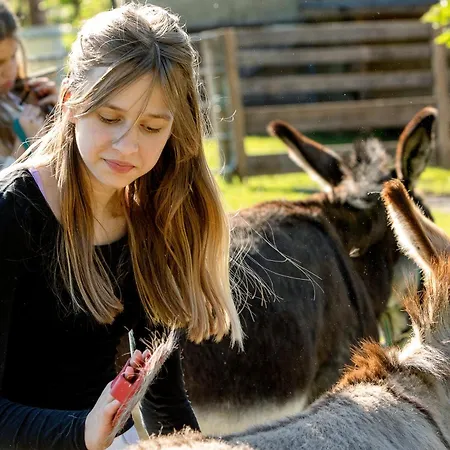 Bio-bauernhof Reiterhof * Sankt Johann im Pongau