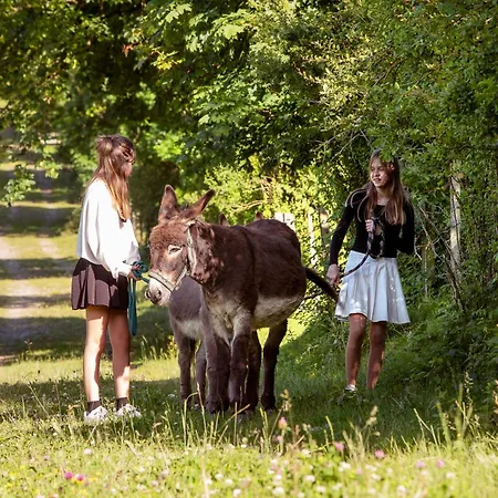ファームステイ Bio-bauernhof Reiterhof