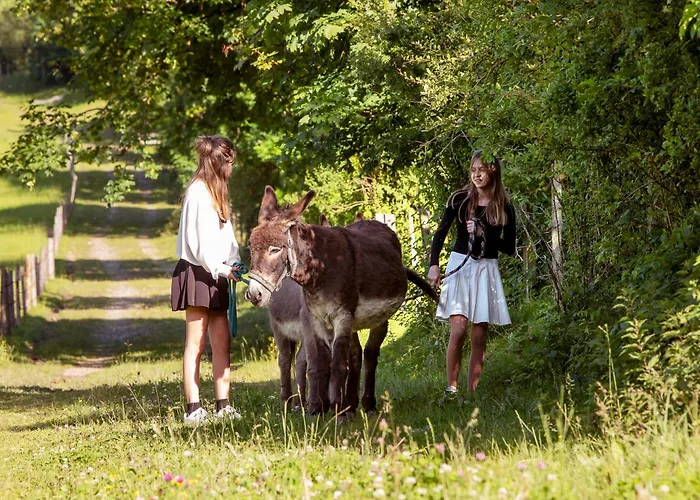 Фермерский дом Bio-bauernhof Reiterhof