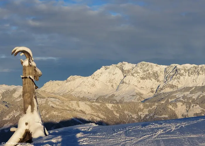 Bio-bauernhof Reiterhof