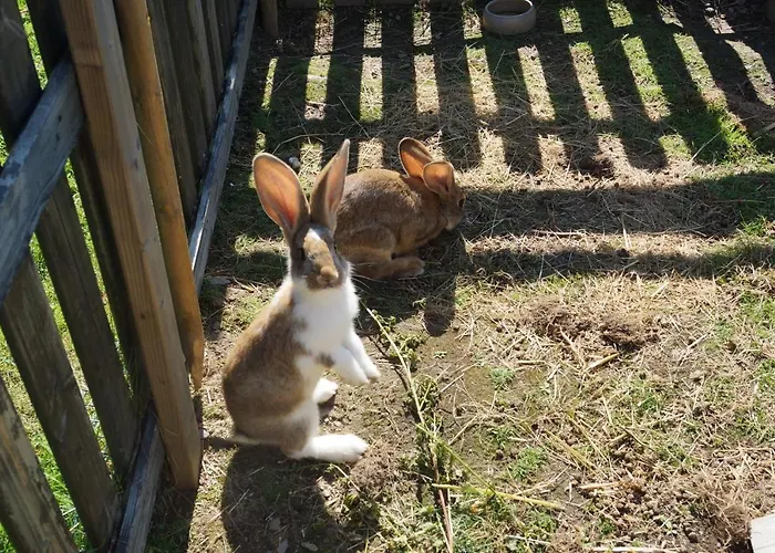 Bio-bauernhof Reiterhof Фермерский дом